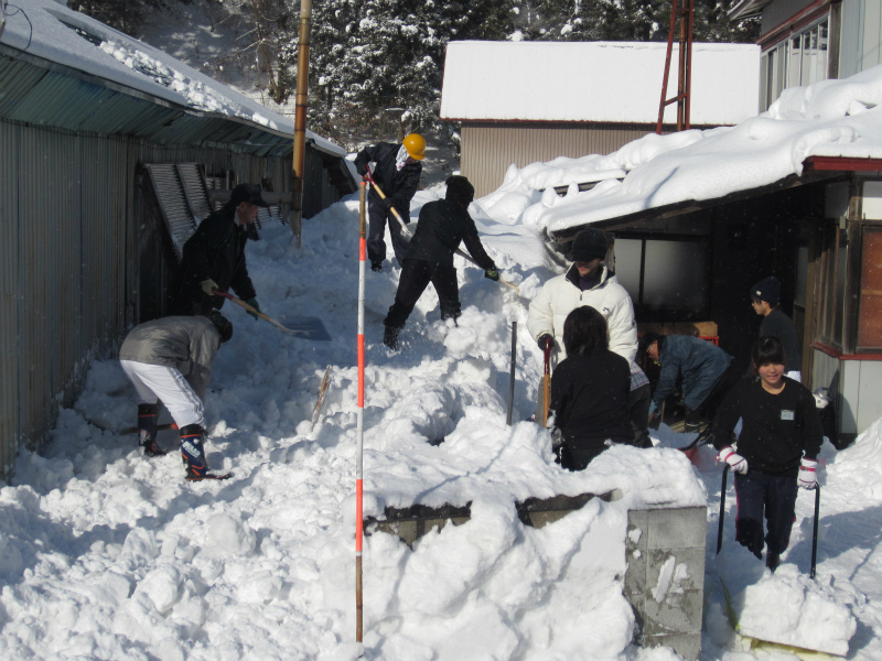 徐排雪事業